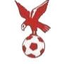 https://img.china-sfsc.com/img/football/team/4802d26df935b78bb2fcdbbff36e8864.png