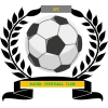 https://img.china-sfsc.com/img/football/team/6dc6d59af2f0962597b412473a6708ee.png