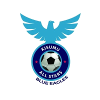 https://img.china-sfsc.com/img/football/team/b1219cba542e3e0c840f5bca03e2b86d.png