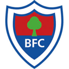 https://img.china-sfsc.com/img/football/team/f4b90bde83ad84deda96bccf4b036a14.png